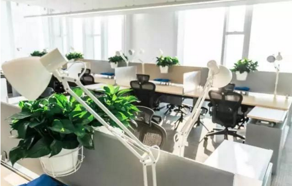 �vӍ���֘��b�ތ�(sh��)���D